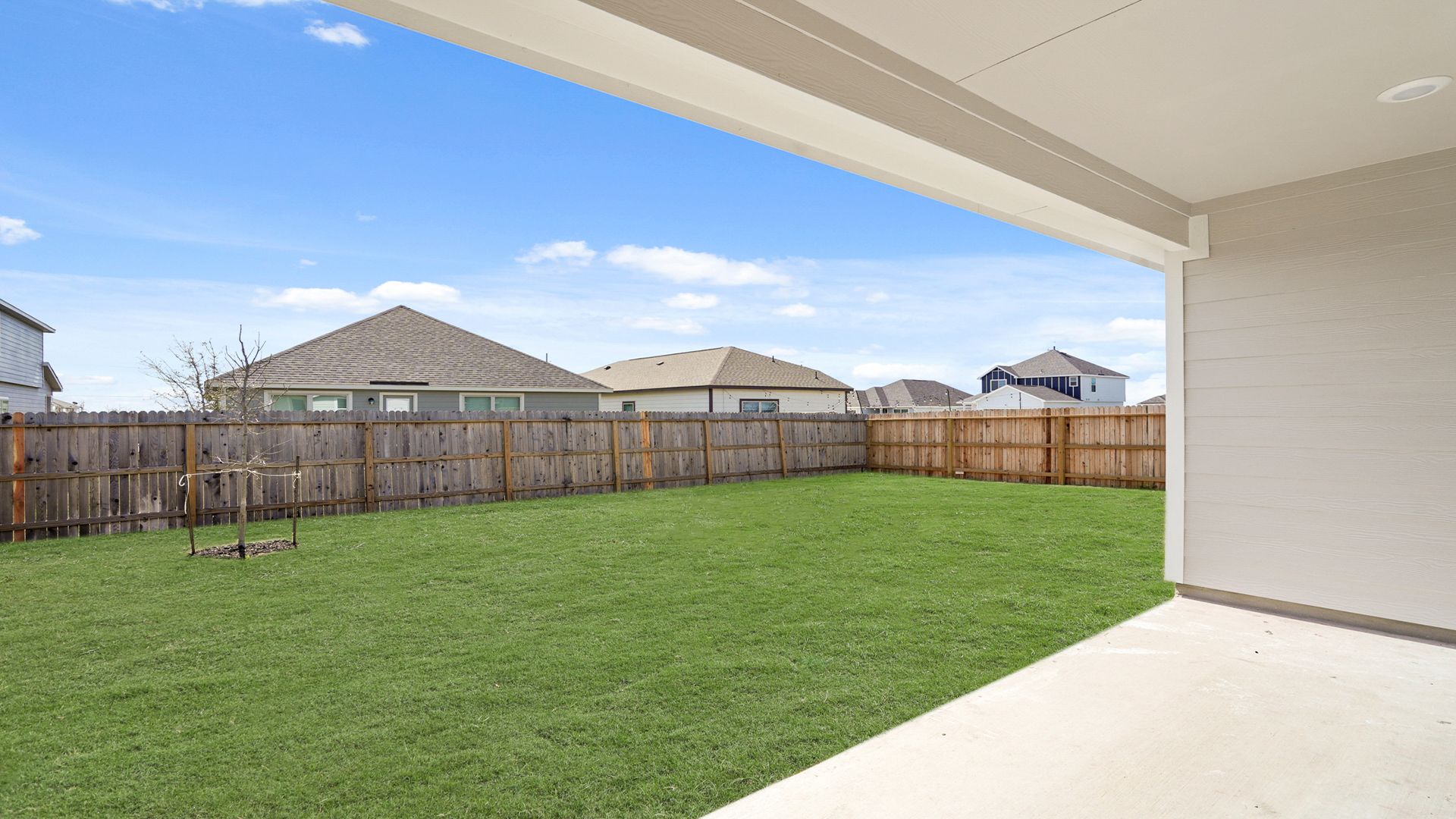 Backyard