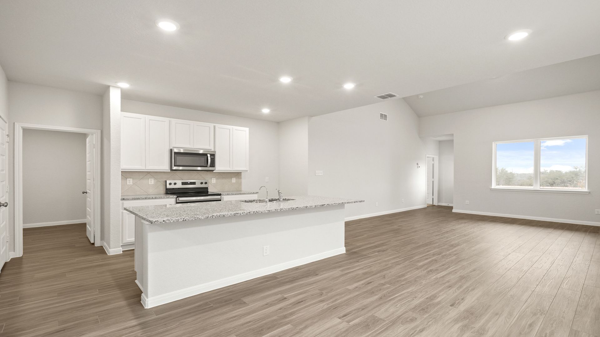 Kitchen to Dining and Family Room