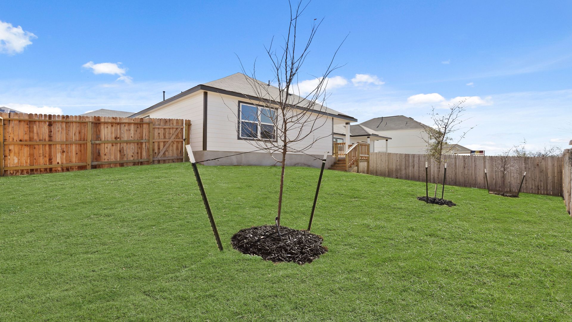 Backyard