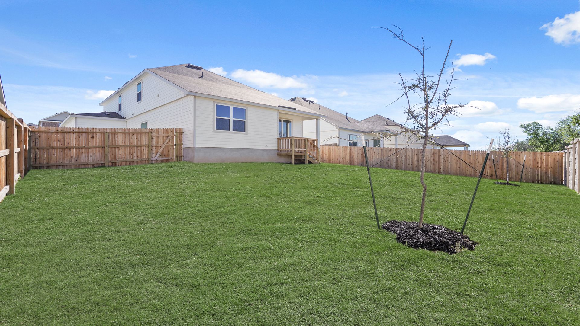 Backyard
