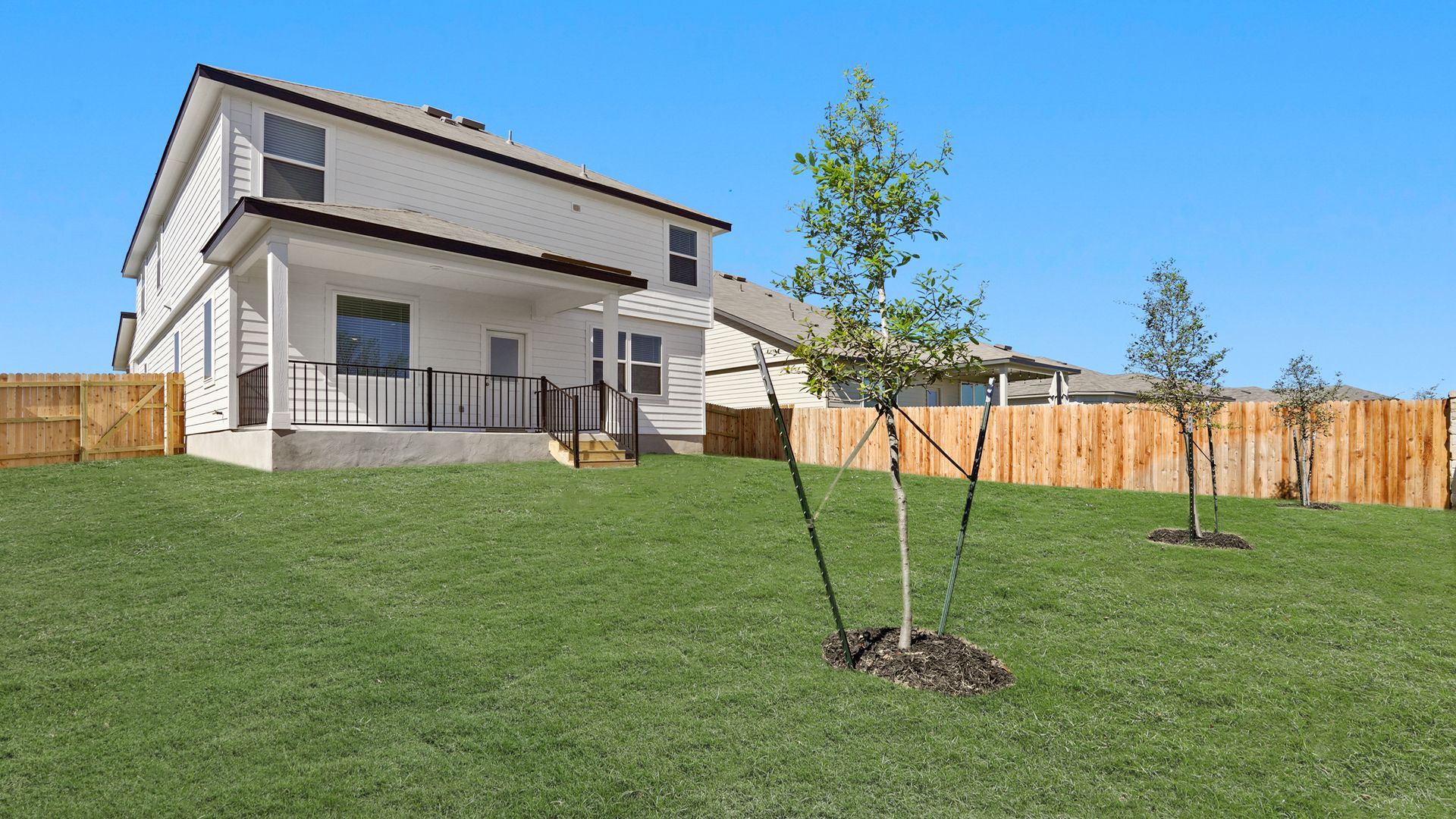 Backyard