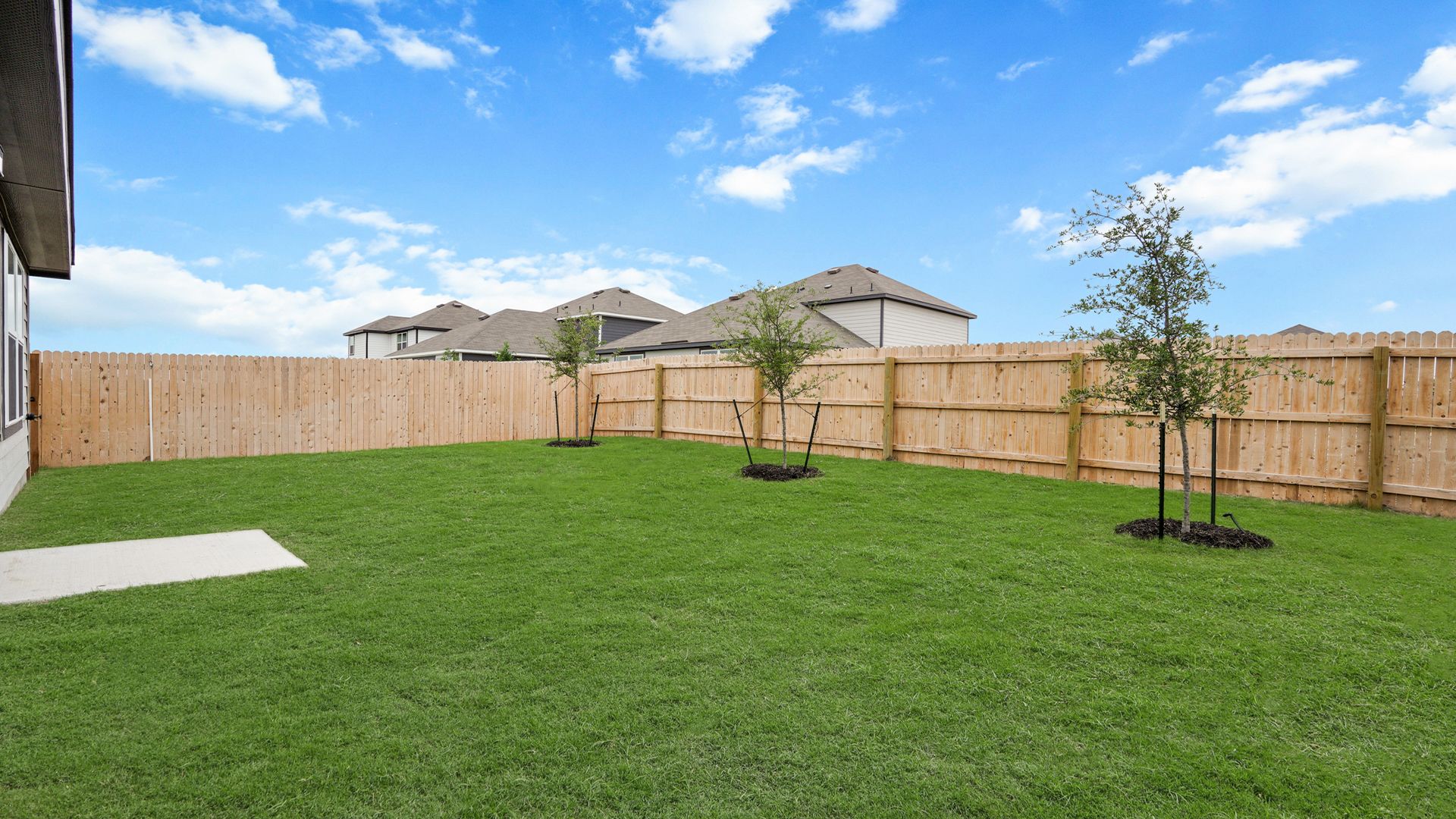 Backyard