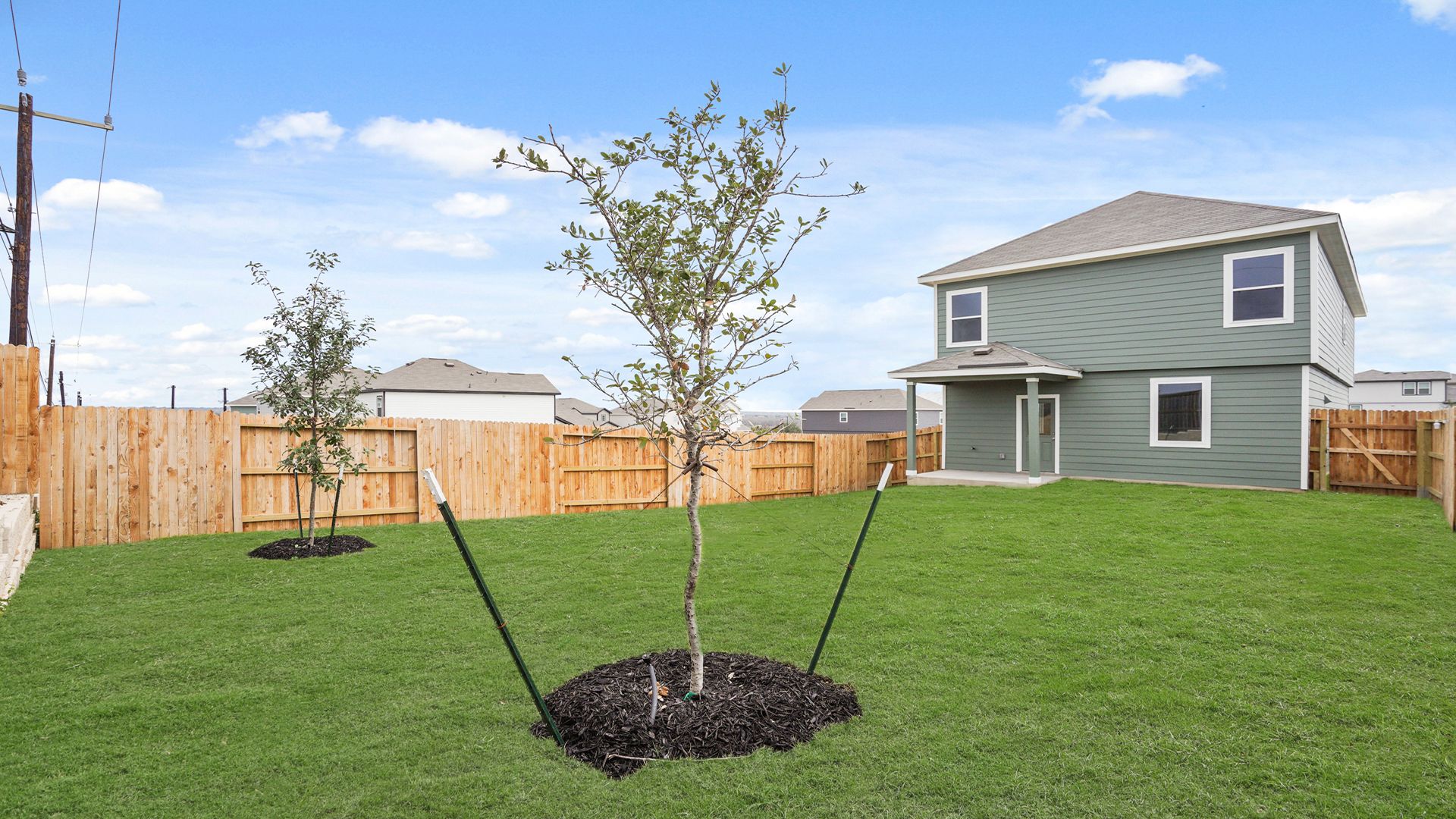 Backyard