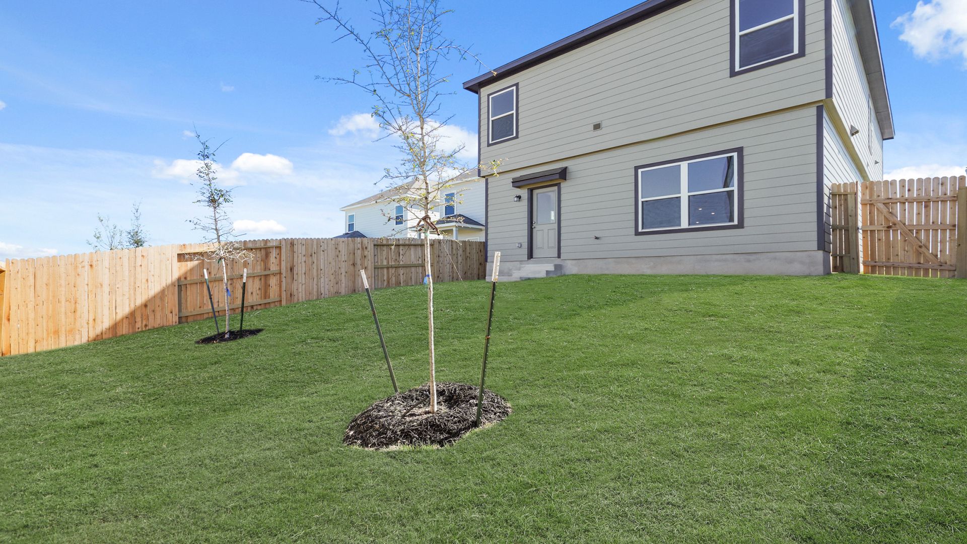 Backyard