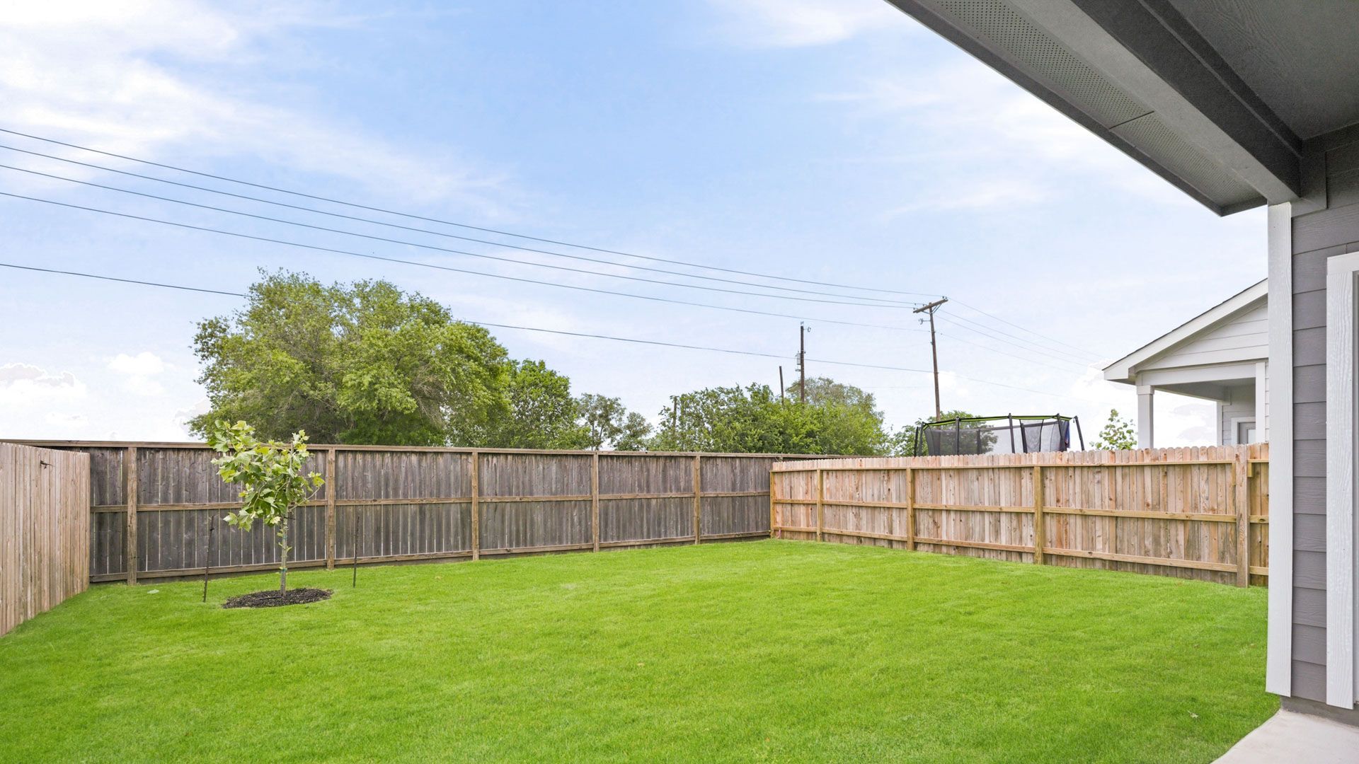 Backyard