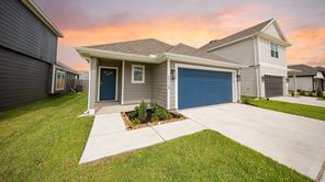 14119 Balcones Fault Court (The Wildflower)