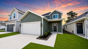 15658 Coneflower Hills Drive (The Woodland)