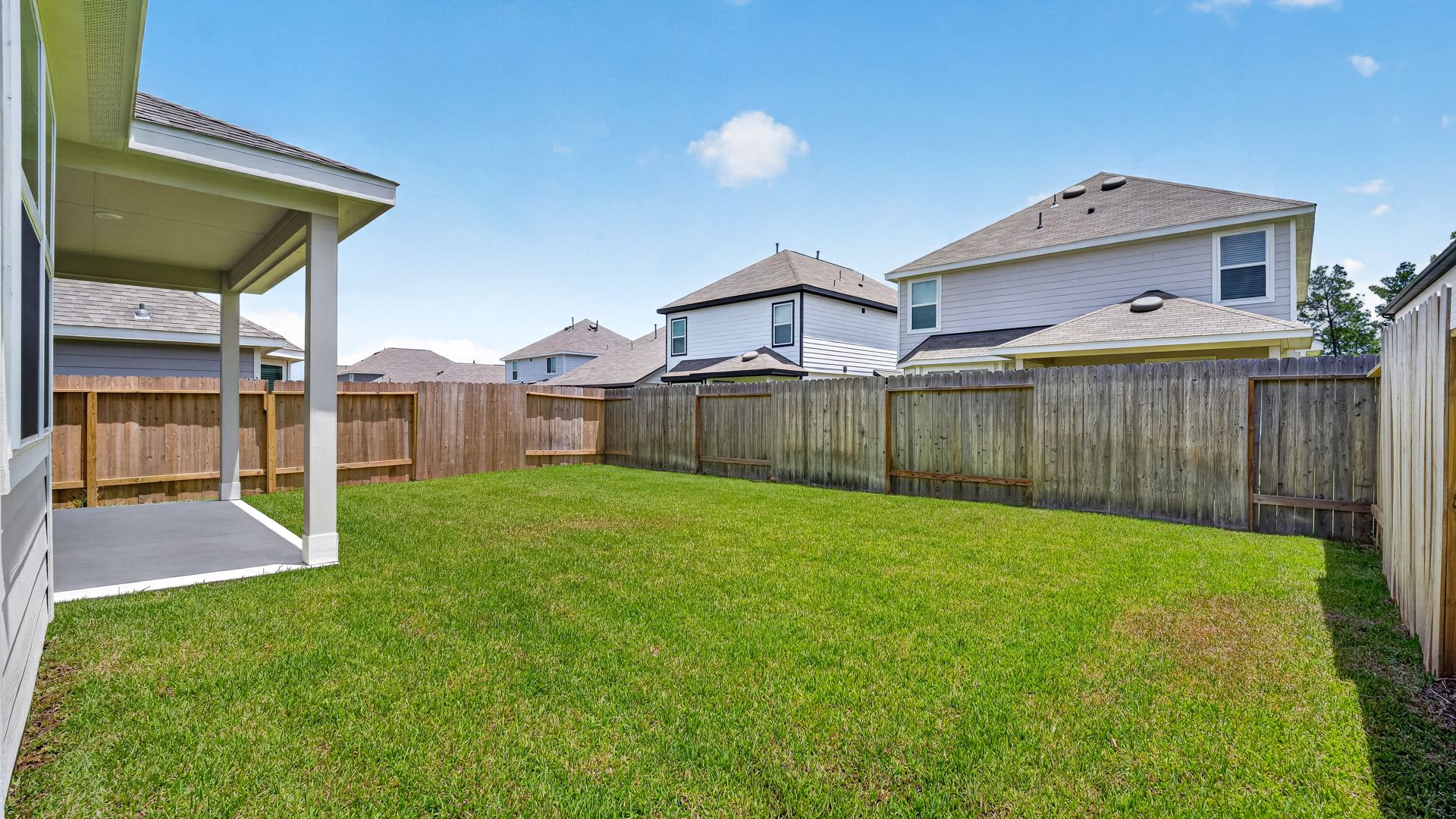 Backyard