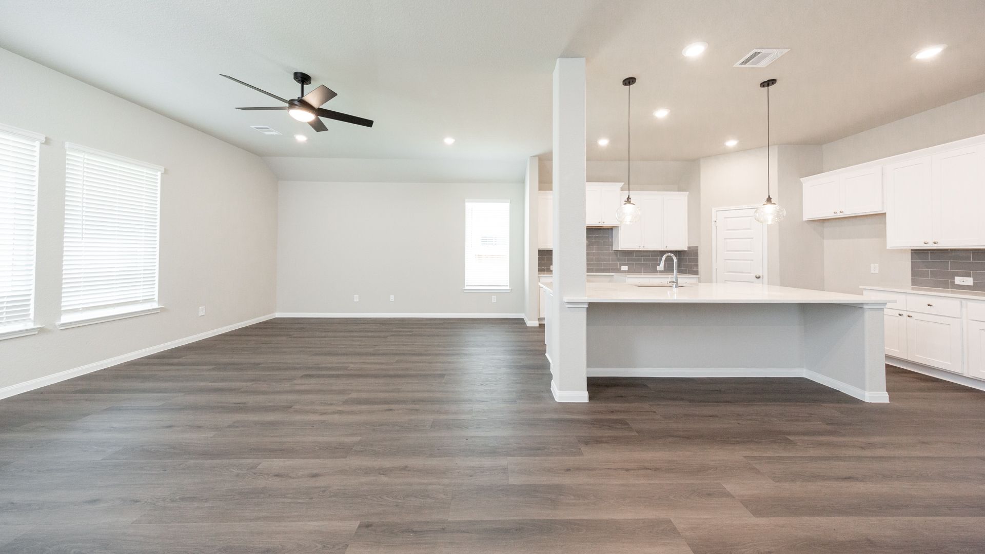 Family Room and Kitchen