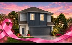 Ridgeland Hills: Willis, Texas - Legend Homes