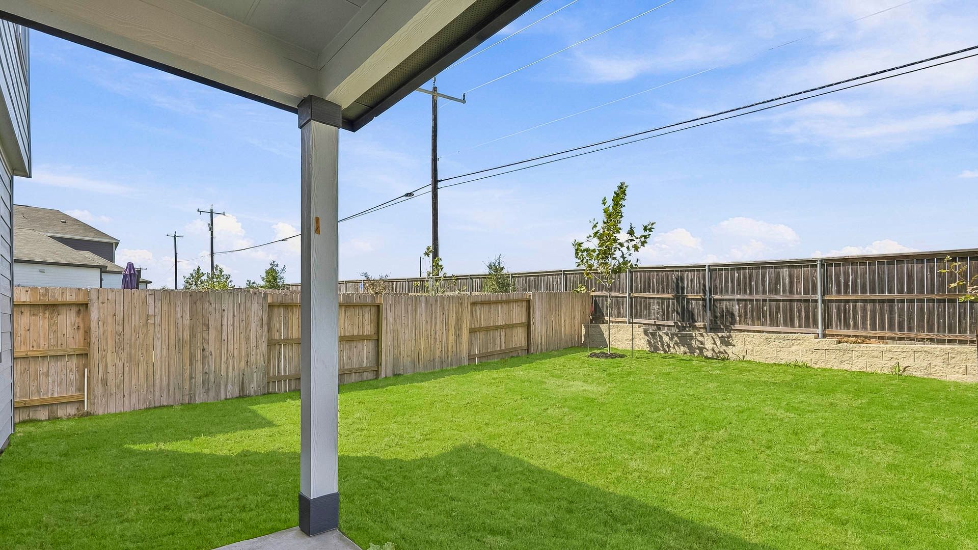 Backyard