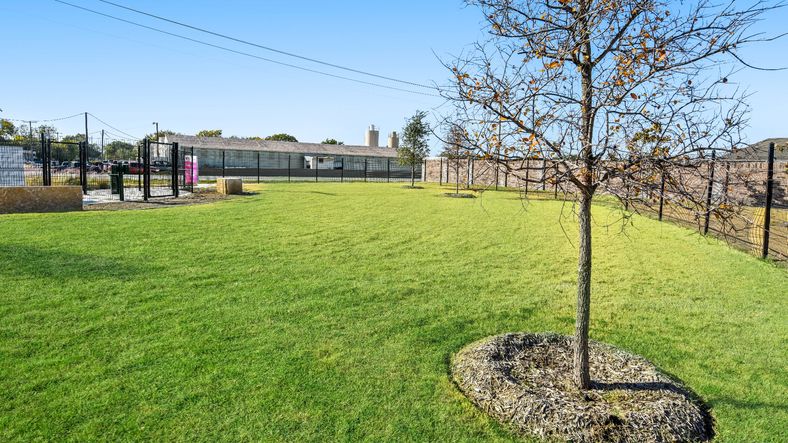 Hanna Ranch Dog Park