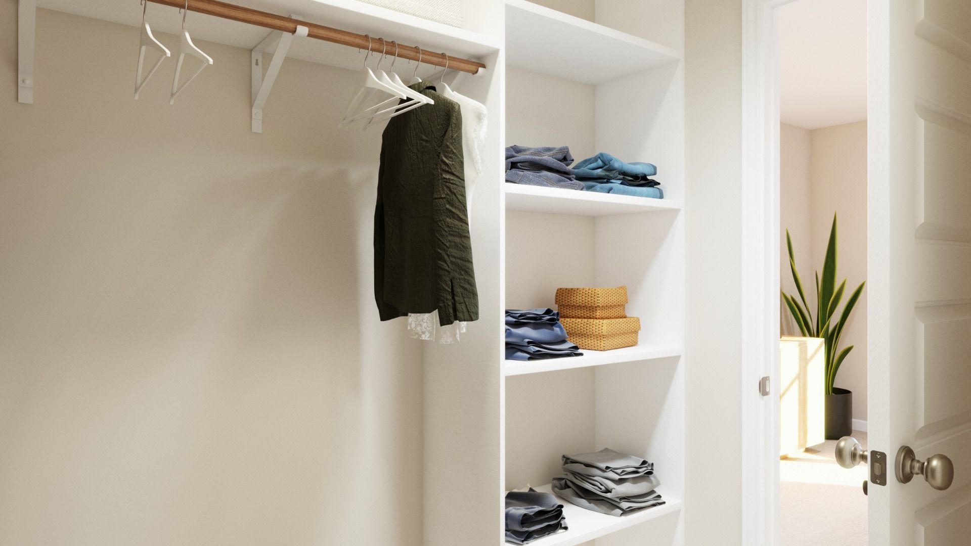 Primary Closet
