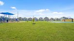 Dauer Ranch - New Braunfels, TX