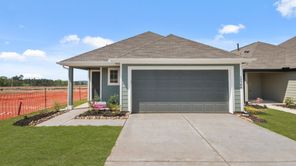 13769 Sunshine Peak Drive (The Wildflower)