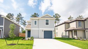 22916 Great Egret Drive (The Croft)