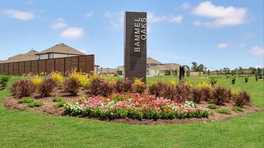 Bammel Oaks Community Monument Sign