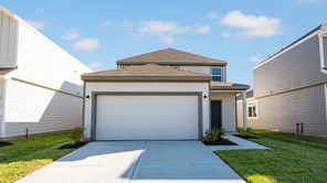 8127 Vanilla Orchid Drive (The Woodland)