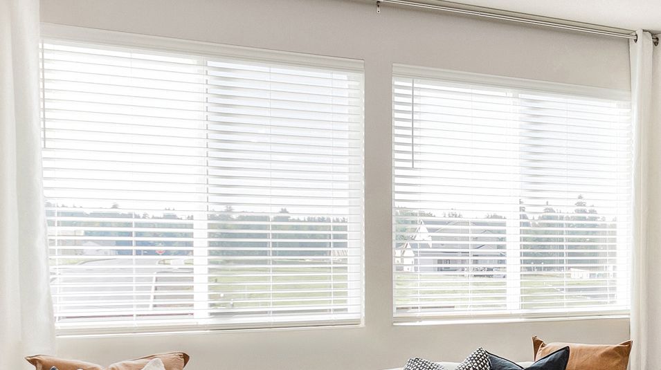 Shaylee Meadows Burlington EI Blinds F1