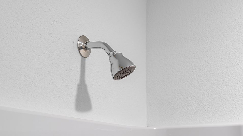 Divisional EI Moen Shower Head
