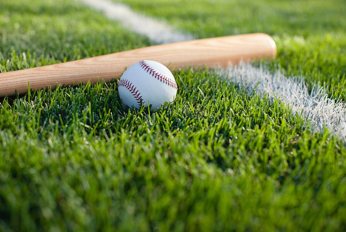 N Pic Sports Baseball Bat Field