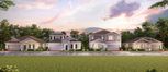 Golden Orchard - Estate Collection - Apopka, FL