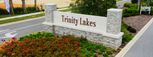 Home in Trinity Lakes - Executive Collection by Lennar