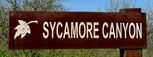 Sycamore Canyon - Dream Series - Vail, AZ