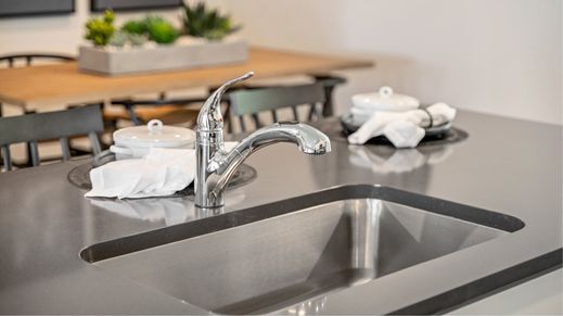 Moen Faucet