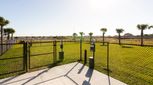 Pine Meadows - Estate Key Collection - Eustis, FL