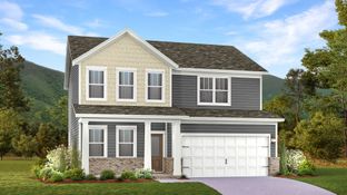 Hamilton - Vineyard Grove - Classic Collection: Lebanon, Tennessee - Lennar