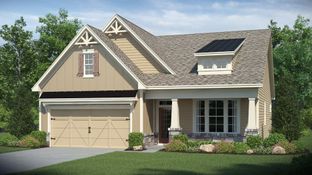 Camden - Candleberry Place: Sharpsburg, Georgia - Lennar