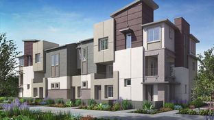 Element 1 - The Hill District - Element: San Marcos, California - Lennar