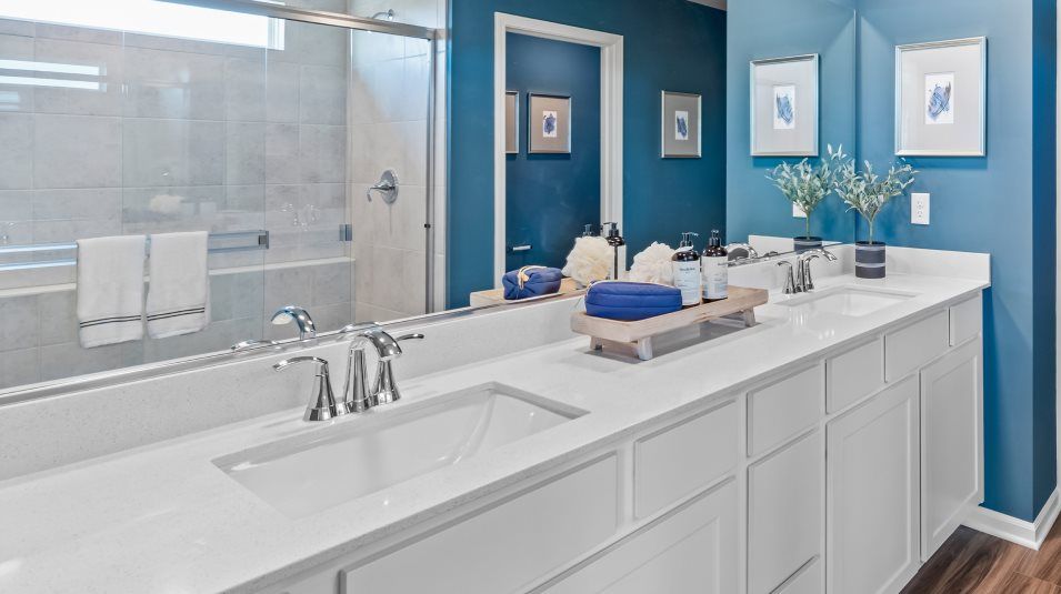 Owner's bathroom sinks