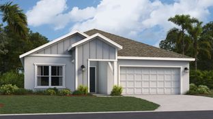 Newhaven - Hidden Ridge - Estate Collection: Groveland, Florida - Lennar