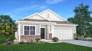 355 Lacewing Lane (Alan)