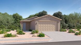 Abbey - Springwood at Gladden Farms - Americana Collection: Marana, Arizona - Lennar