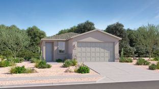 Belmont - Springwood at Gladden Farms - Americana Collection: Marana, Arizona - Lennar