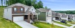 Gwynne Farms - Classic Collection - Smyrna, TN