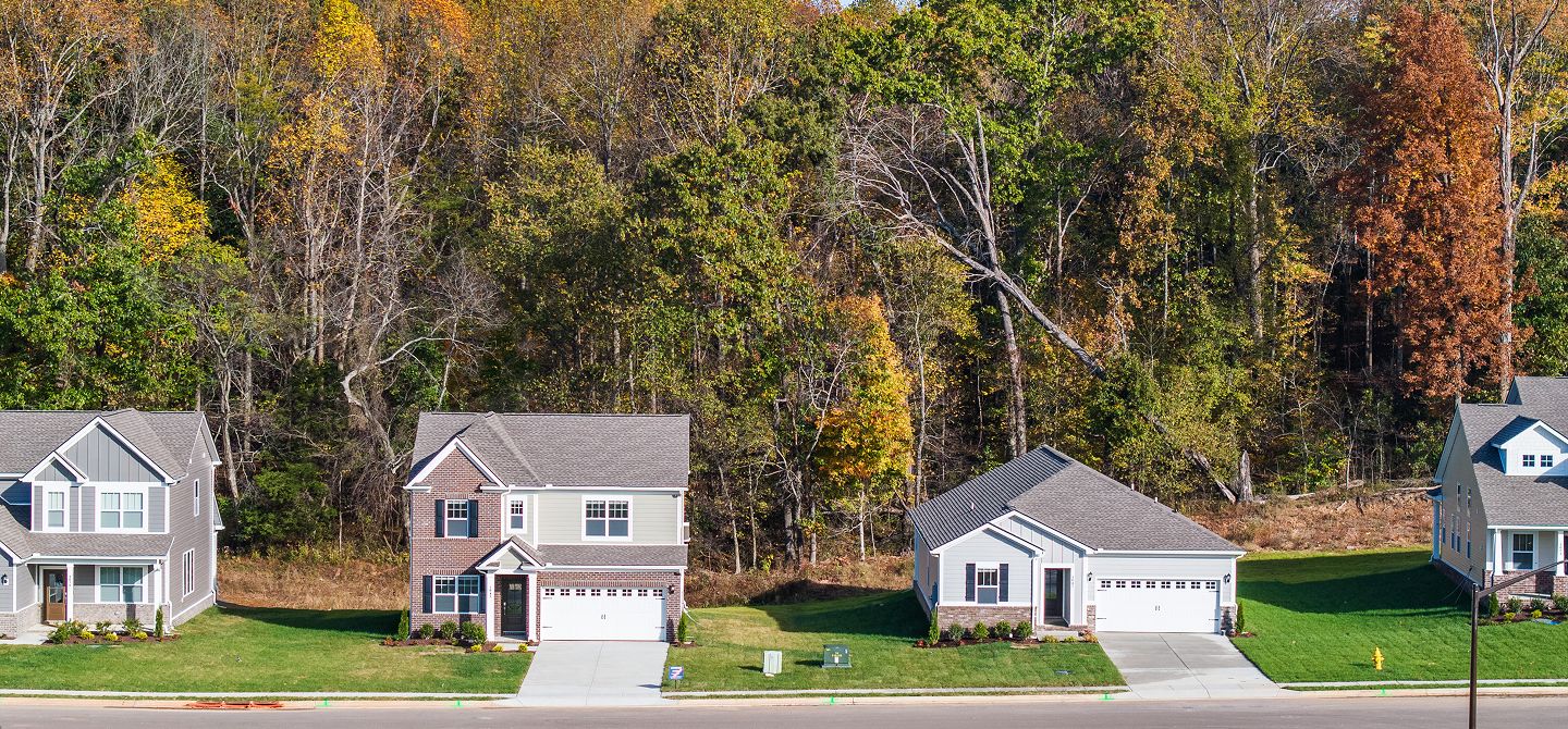 Classic Collection Ross Farms Aerial Streetscape 3of11