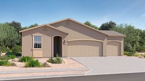 8725 E CRIMSON SNOWBERRY WY (Mesquite)