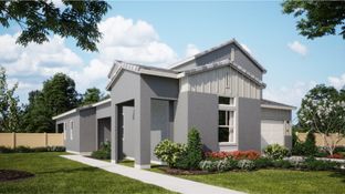 Residence 3 - Junipers - Woodlands: San Diego, California - Lennar