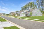 Longleaf Vickery - Central, SC