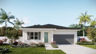 Daisy - Arden - The Arcadia Collection: Loxahatchee, Florida - Lennar