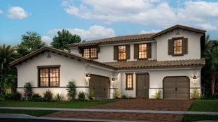 Sage - Arden - The Providence Collection: Loxahatchee, Florida - Lennar