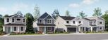 Meadowview - The August Collection - Eugene, OR