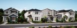 Butternut Creek - The Forrest Collection - Hillsboro, OR