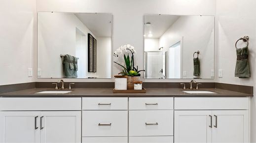 EI Owners Bath Duel Sinks