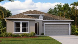 Hartford - Waterstone - Estate Collection: Groveland, Florida - Lennar