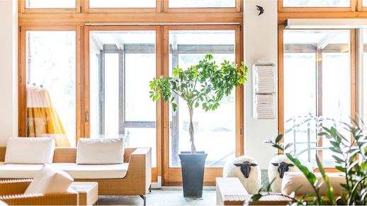 N Pic Decor Home Clubhouse Interior